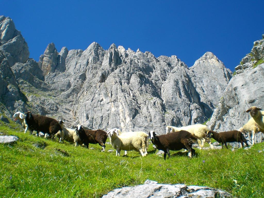 Matzhof Διαμέρισμα Leogang Εξωτερικό φωτογραφία